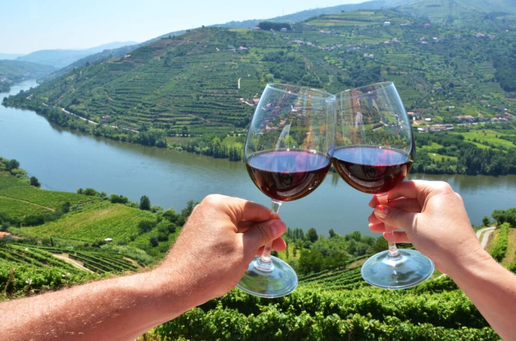 Cycle Through Portugal's Douro Wine Region – Indigeno Travel
