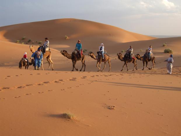 People riding camels in the desert on a tour.